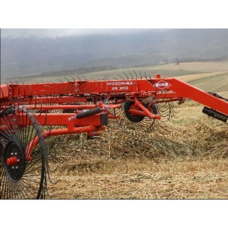 10 wheel Speedrake